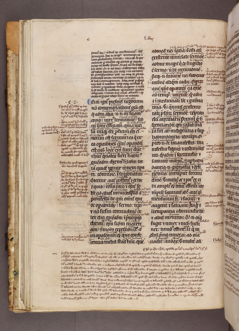 Folio 44 verso